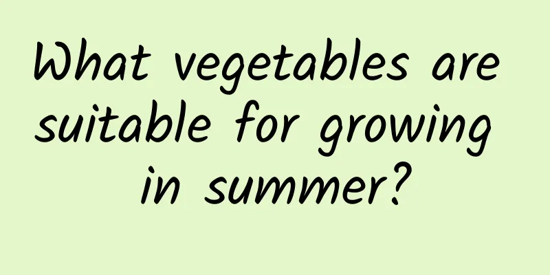 What vegetables are suitable for growing in summer?