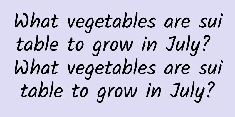 What vegetables are suitable to grow in July? What vegetables are suitable to grow in July?