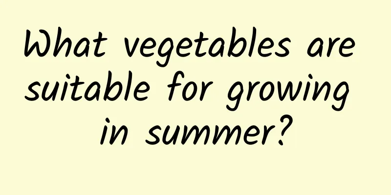 What vegetables are suitable for growing in summer?