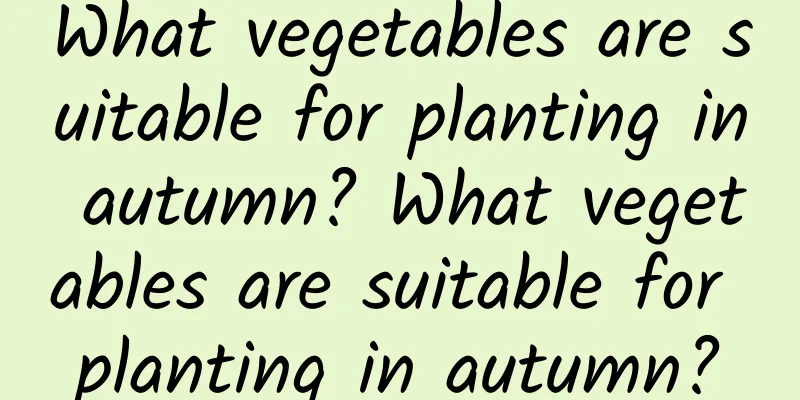 What vegetables are suitable for planting in autumn? What vegetables are suitable for planting in autumn?