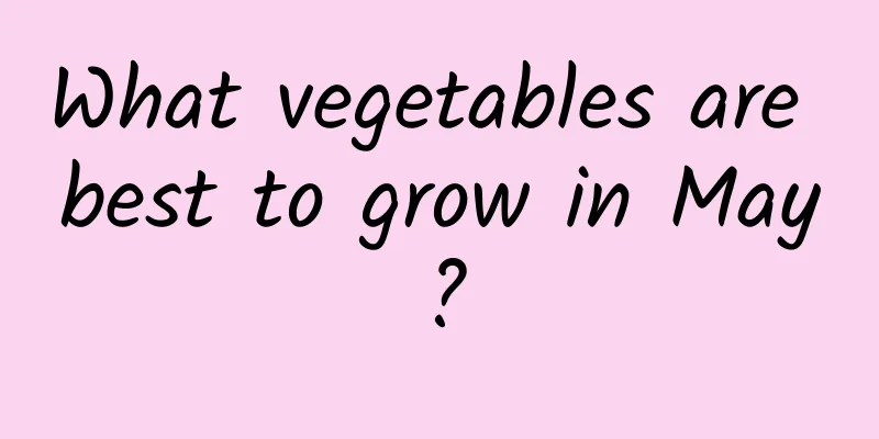What vegetables are best to grow in May?