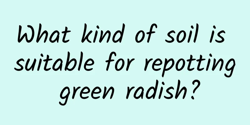 What kind of soil is suitable for repotting green radish?