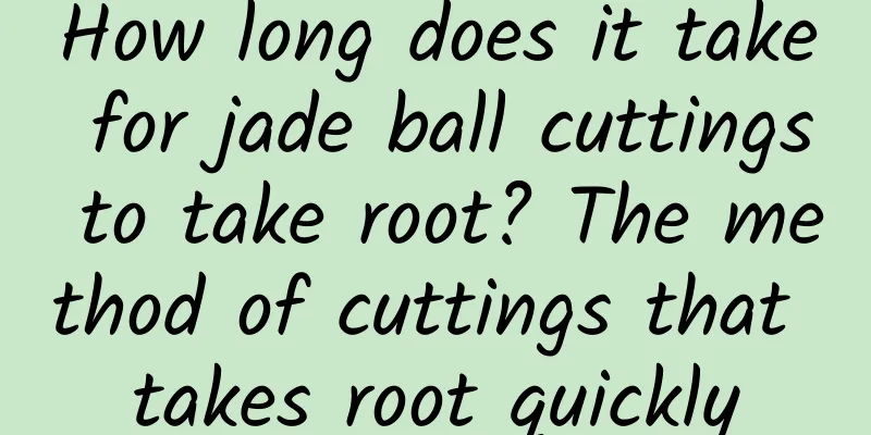 How long does it take for jade ball cuttings to take root? The method of cuttings that takes root quickly