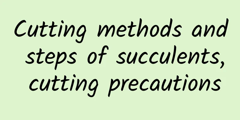 Cutting methods and steps of succulents, cutting precautions
