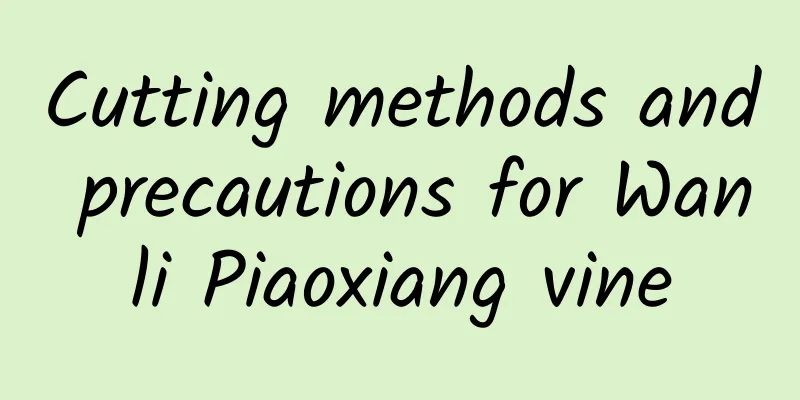 Cutting methods and precautions for Wanli Piaoxiang vine