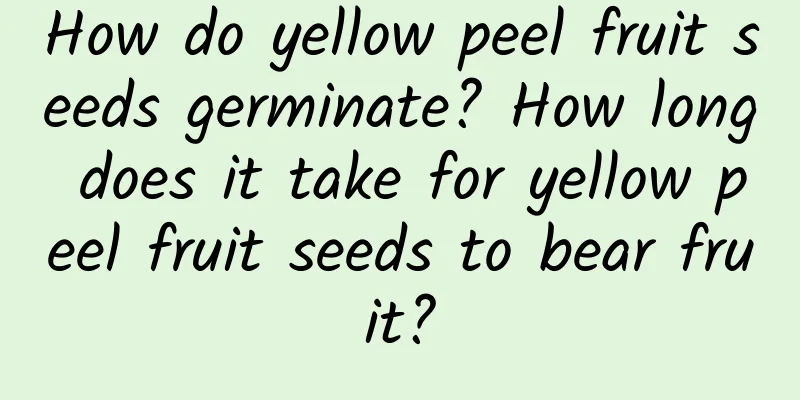 How do yellow peel fruit seeds germinate? How long does it take for yellow peel fruit seeds to bear fruit?