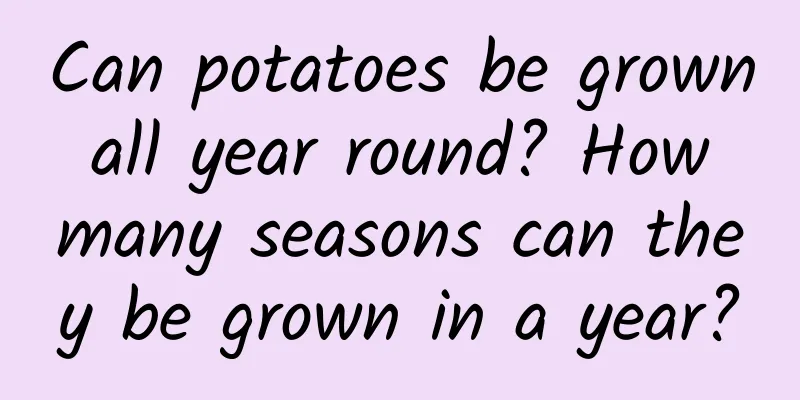 Can potatoes be grown all year round? How many seasons can they be grown in a year?