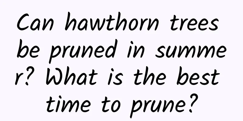 Can hawthorn trees be pruned in summer? What is the best time to prune?