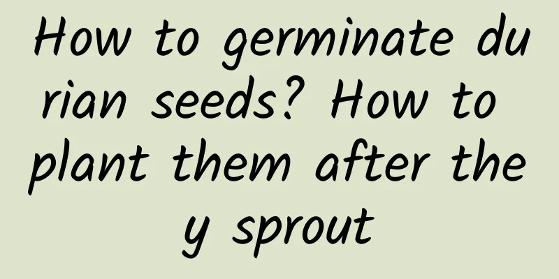 How to germinate durian seeds? How to plant them after they sprout