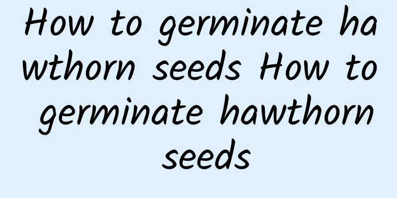How to germinate hawthorn seeds How to germinate hawthorn seeds