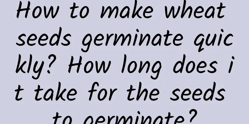How to make wheat seeds germinate quickly? How long does it take for the seeds to germinate?