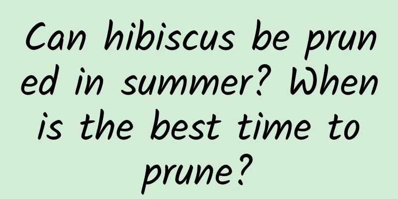 Can hibiscus be pruned in summer? When is the best time to prune?