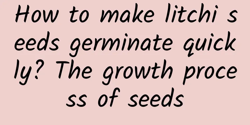 How to make litchi seeds germinate quickly? The growth process of seeds