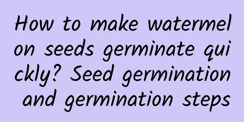 How to make watermelon seeds germinate quickly? Seed germination and germination steps