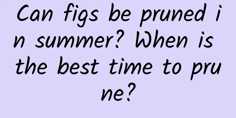 Can figs be pruned in summer? When is the best time to prune?