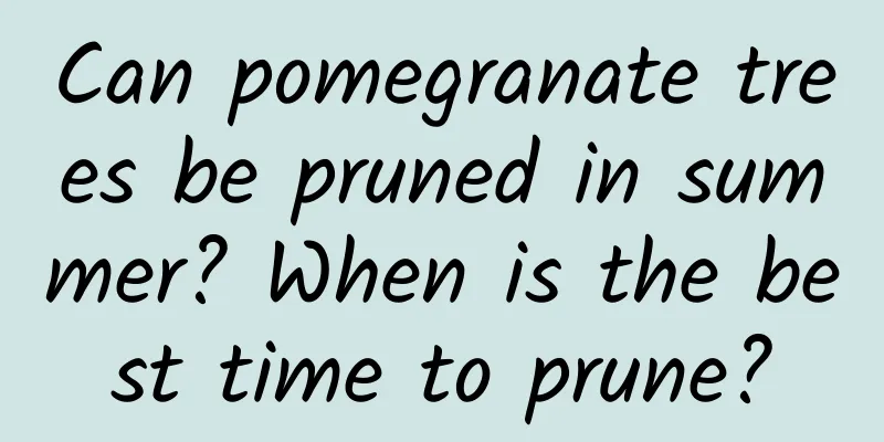 Can pomegranate trees be pruned in summer? When is the best time to prune?