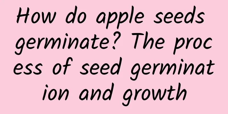 How do apple seeds germinate? The process of seed germination and growth