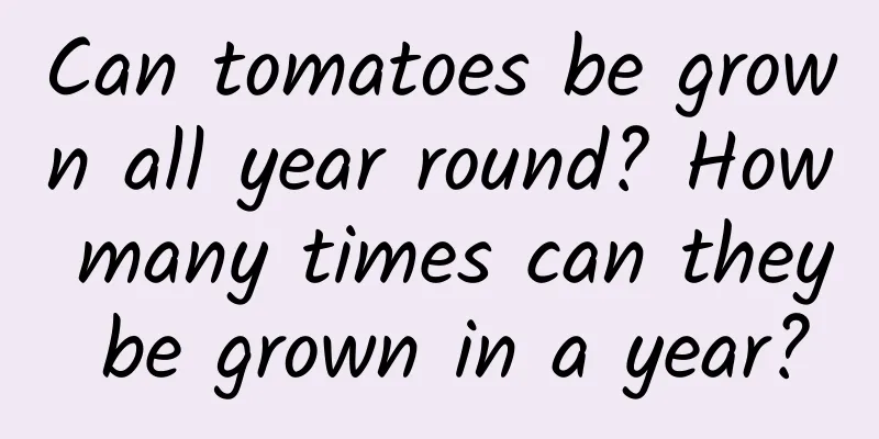 Can tomatoes be grown all year round? How many times can they be grown in a year?