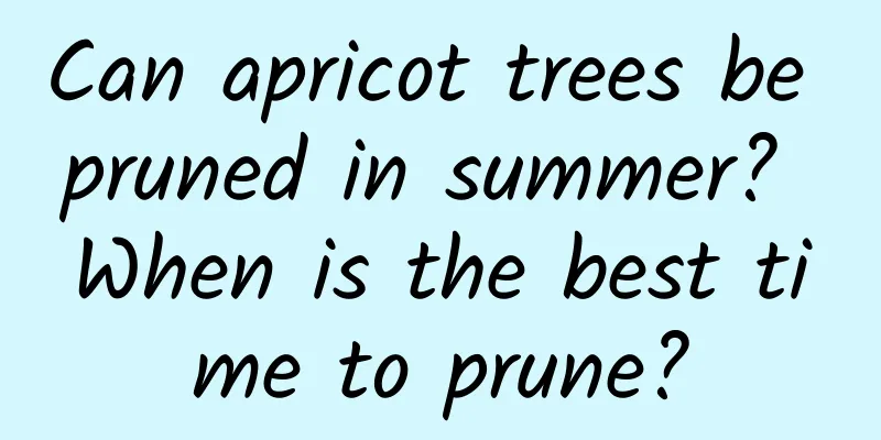 Can apricot trees be pruned in summer? When is the best time to prune?