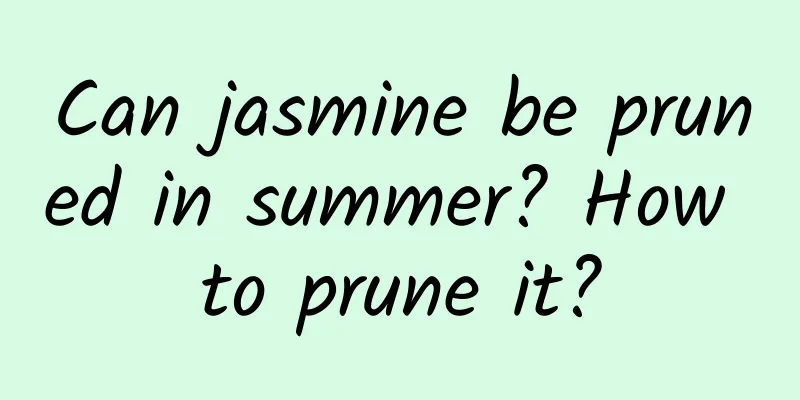 Can jasmine be pruned in summer? How to prune it?