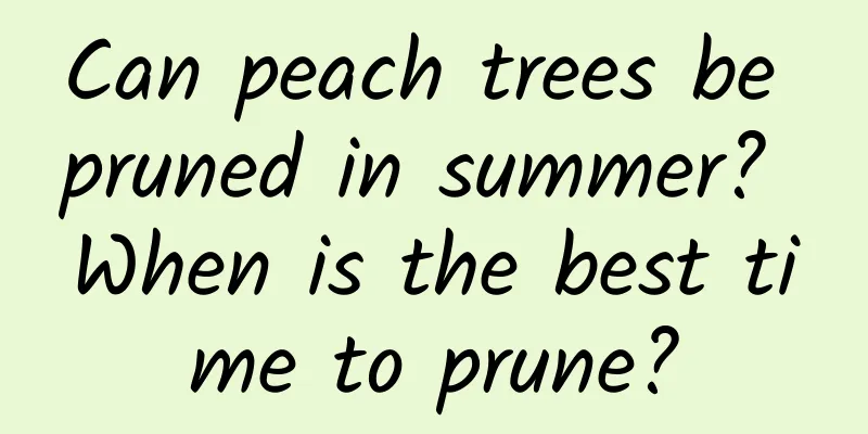 Can peach trees be pruned in summer? When is the best time to prune?