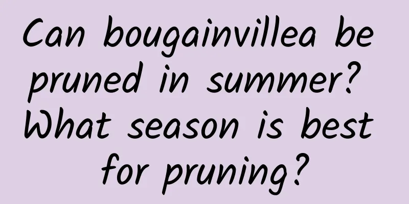 Can bougainvillea be pruned in summer? What season is best for pruning?
