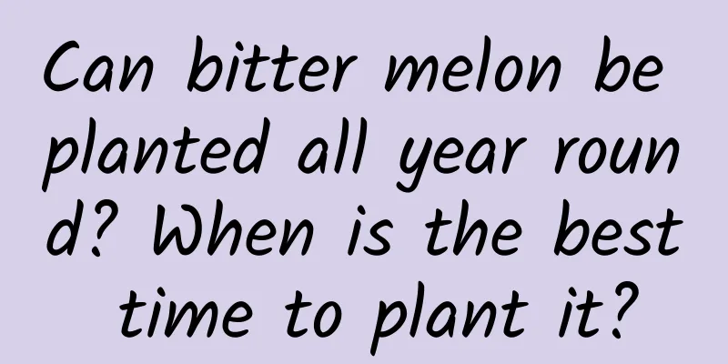 Can bitter melon be planted all year round? When is the best time to plant it?