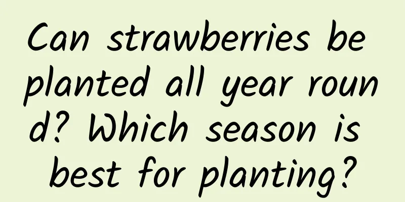 Can strawberries be planted all year round? Which season is best for planting?