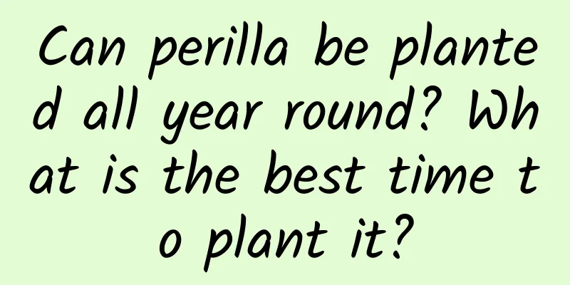 Can perilla be planted all year round? What is the best time to plant it?