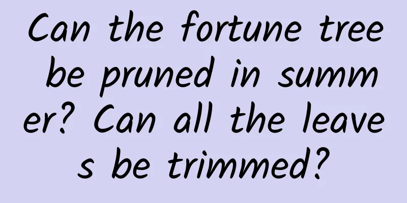 Can the fortune tree be pruned in summer? Can all the leaves be trimmed?