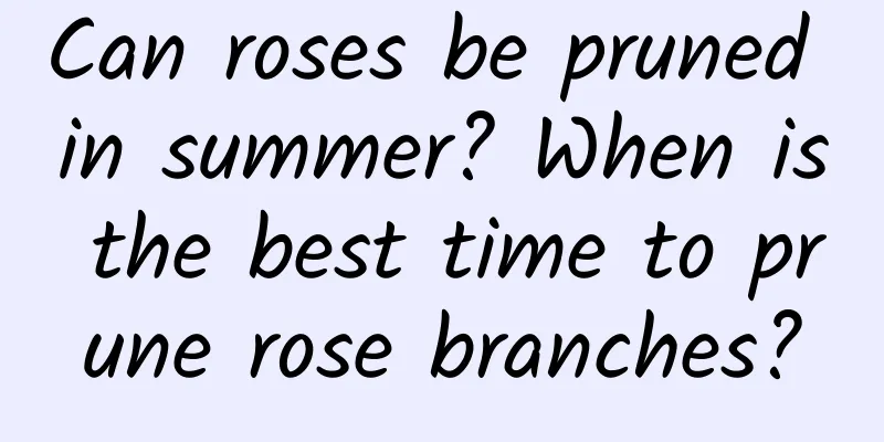 Can roses be pruned in summer? When is the best time to prune rose branches?