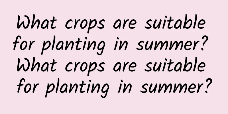 What crops are suitable for planting in summer? What crops are suitable for planting in summer?