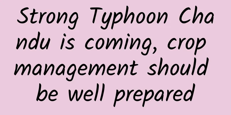 Strong Typhoon Chandu is coming, crop management should be well prepared