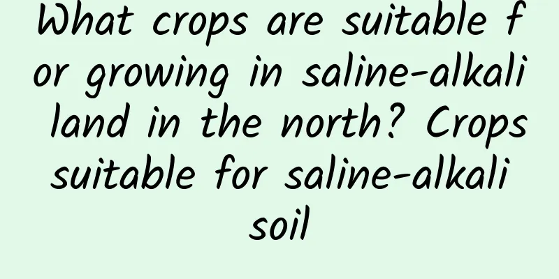 What crops are suitable for growing in saline-alkali land in the north? Crops suitable for saline-alkali soil