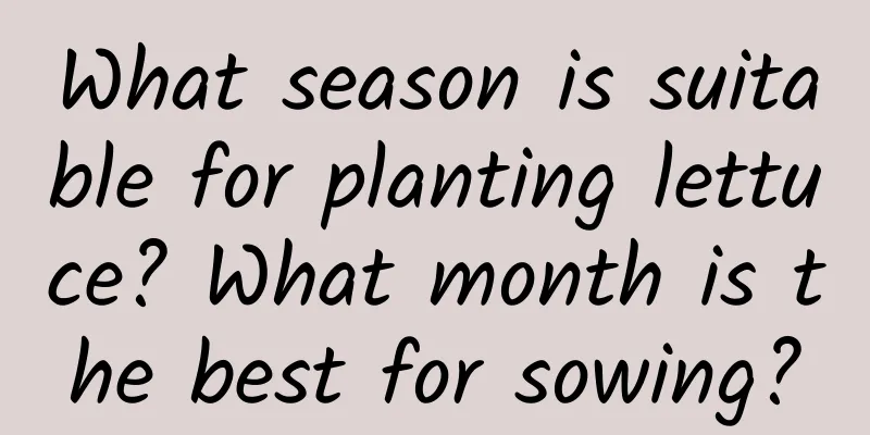 What season is suitable for planting lettuce? What month is the best for sowing?