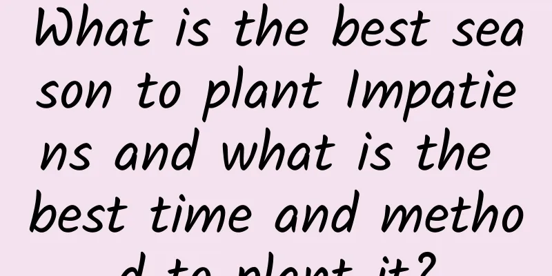 What is the best season to plant Impatiens and what is the best time and method to plant it?