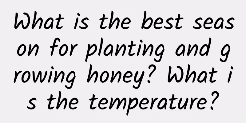 What is the best season for planting and growing honey? What is the temperature?