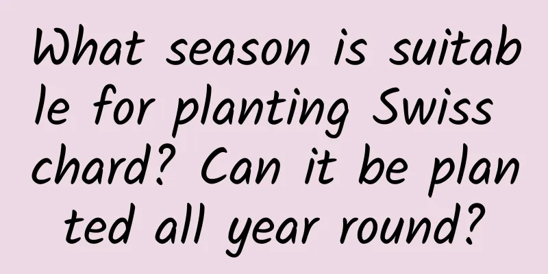 What season is suitable for planting Swiss chard? Can it be planted all year round?