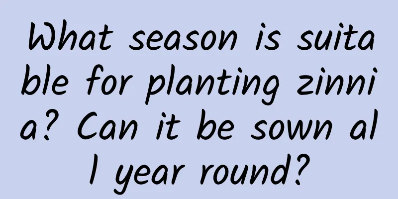 What season is suitable for planting zinnia? Can it be sown all year round?