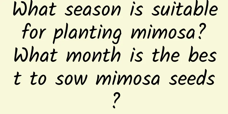 What season is suitable for planting mimosa? What month is the best to sow mimosa seeds?