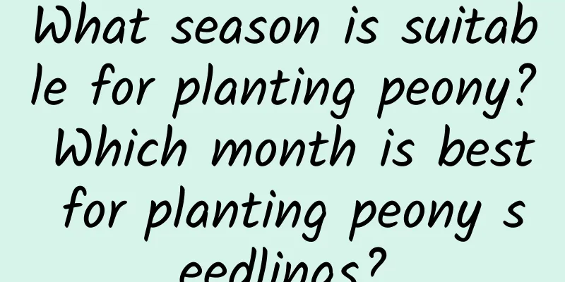 What season is suitable for planting peony? Which month is best for planting peony seedlings?