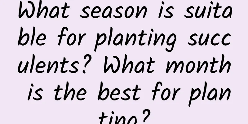 What season is suitable for planting succulents? What month is the best for planting?