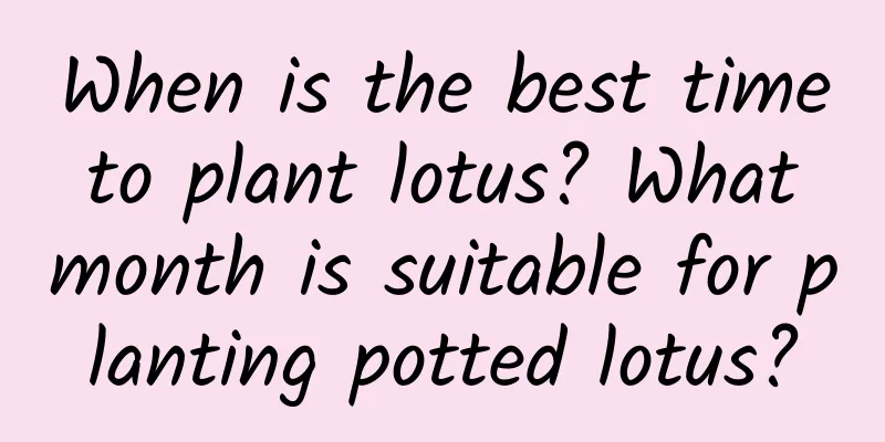 When is the best time to plant lotus? What month is suitable for planting potted lotus?