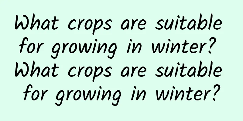 What crops are suitable for growing in winter? What crops are suitable for growing in winter?