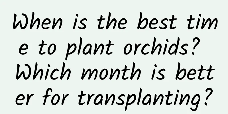 When is the best time to plant orchids? Which month is better for transplanting?