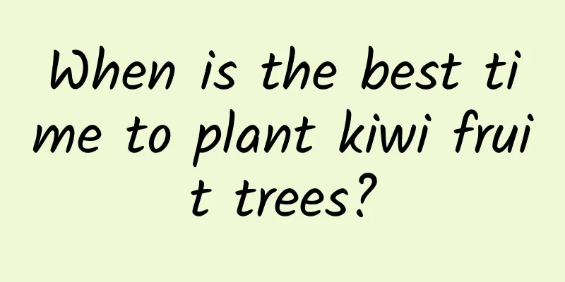 When is the best time to plant kiwi fruit trees?
