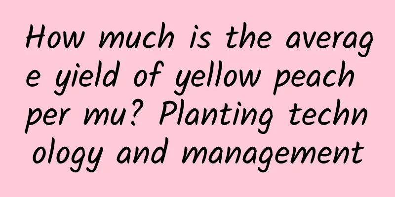 How much is the average yield of yellow peach per mu? Planting technology and management