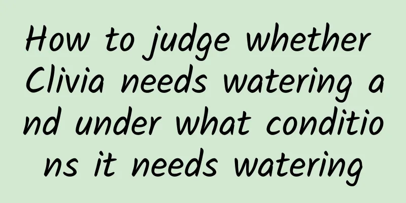 How to judge whether Clivia needs watering and under what conditions it needs watering
