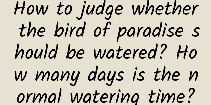 How to judge whether the bird of paradise should be watered? How many days is the normal watering time?