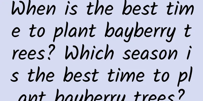 When is the best time to plant bayberry trees? Which season is the best time to plant bayberry trees?